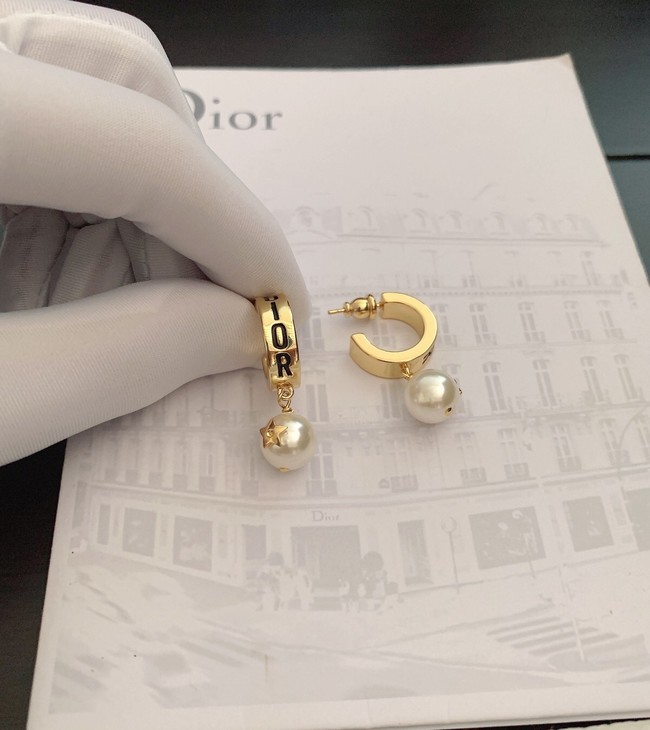 Dior Earrings CE9442