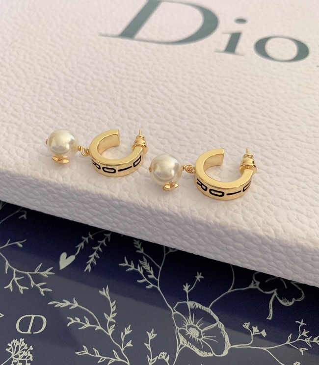 Dior Earrings CE9442