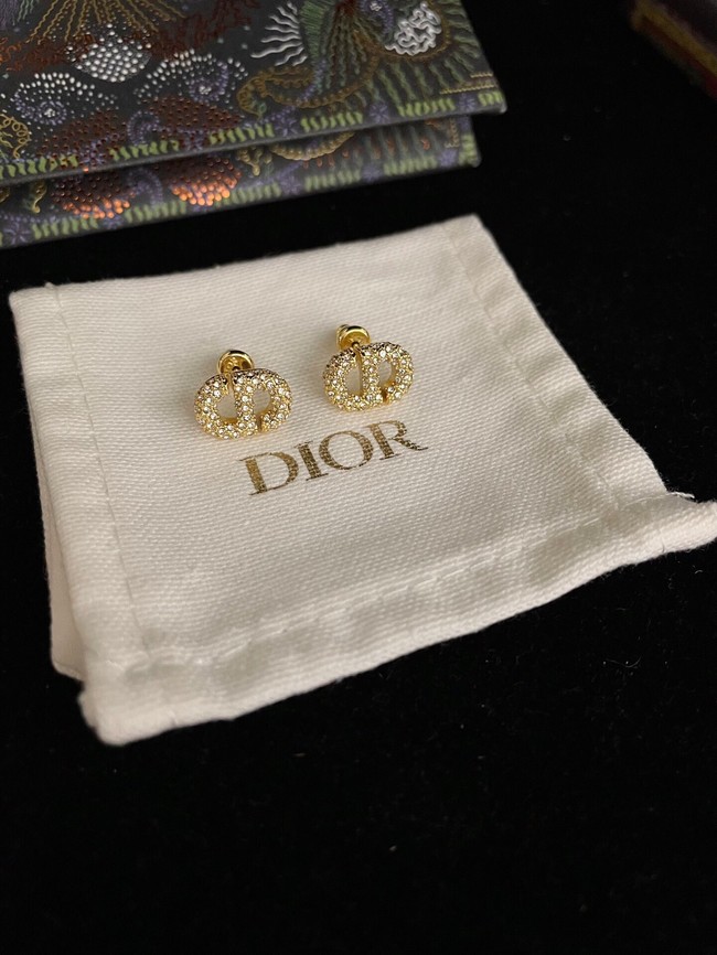 Dior Earrings CE9443