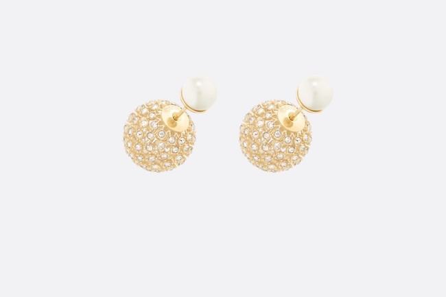 Dior Earrings CE9495