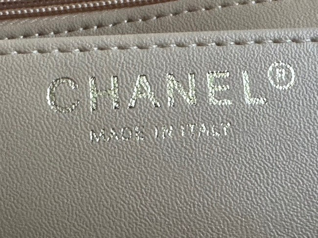 Chanel CLASSIC HANDBAG A01116-1