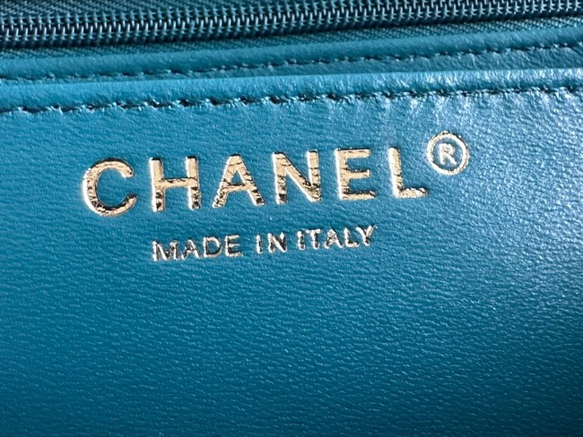 Chanel CLASSIC HANDBAG A01116-2