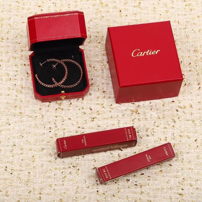 Cartier Earrings CE9713