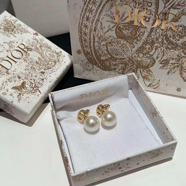 Dior Earrings CE9869