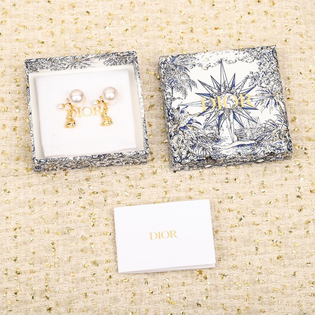 Dior Earrings CE10428