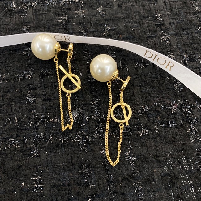 Dior Earrings CE10698