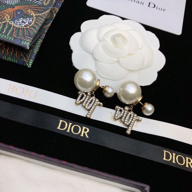 Dior Earrings CE11409