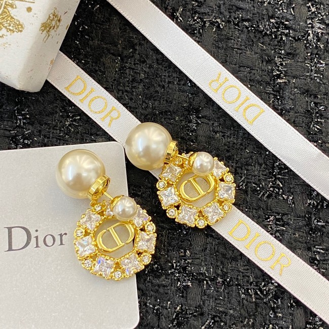 Dior Earrings CE11420