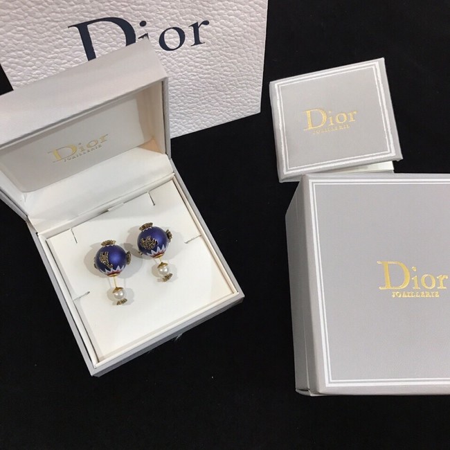 Dior Earrings CE11655