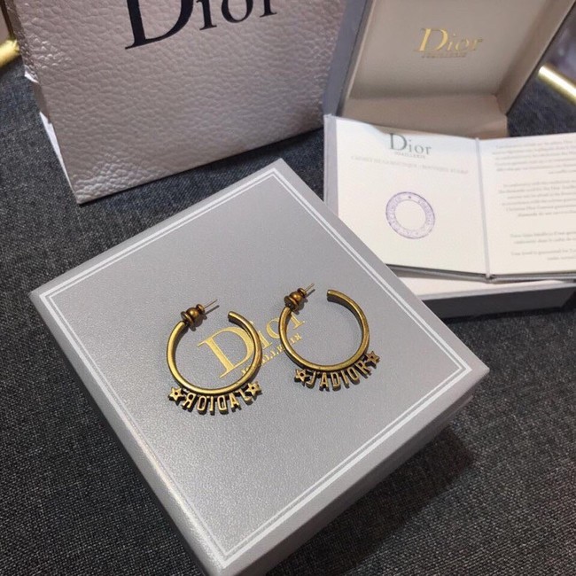 Dior Earrings CE11660