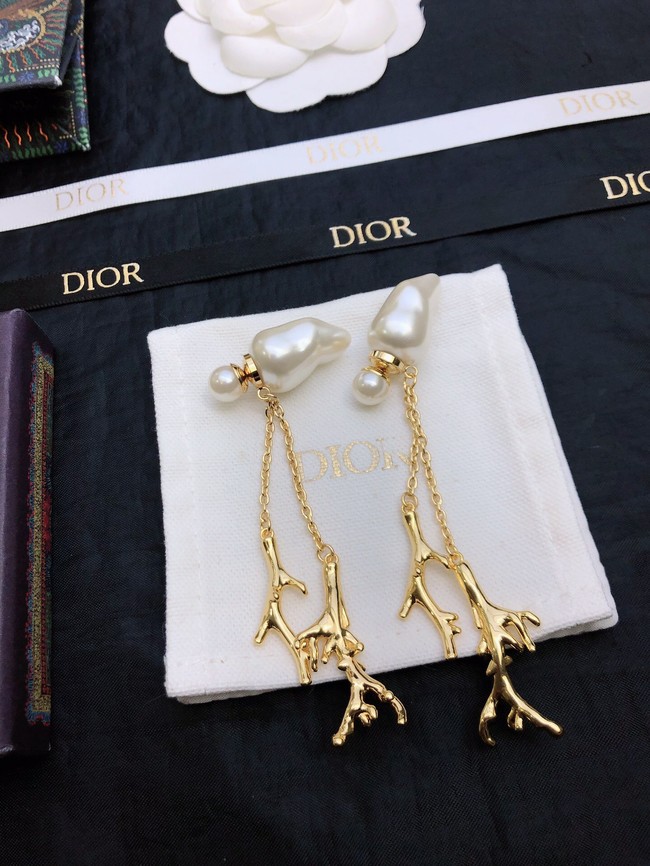 Dior Earrings CE11661