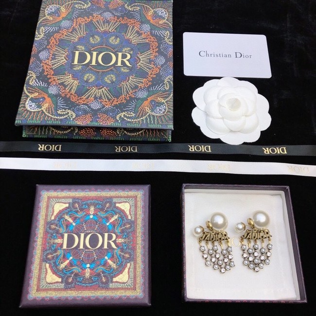 Dior Earrings CE11668