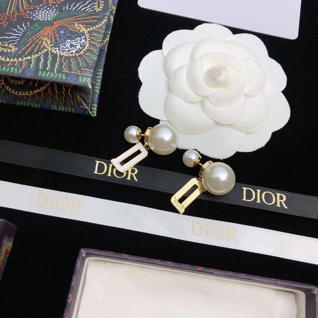 Dior Earrings CE11672