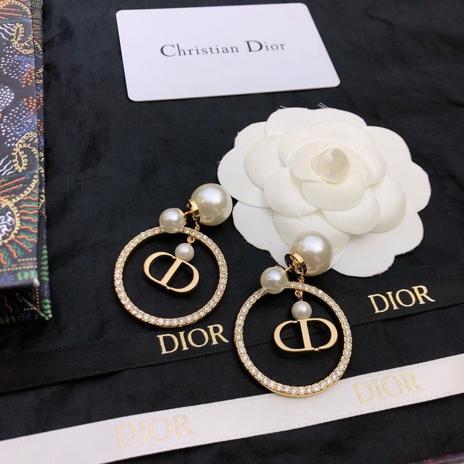 Dior Earrings CE11674