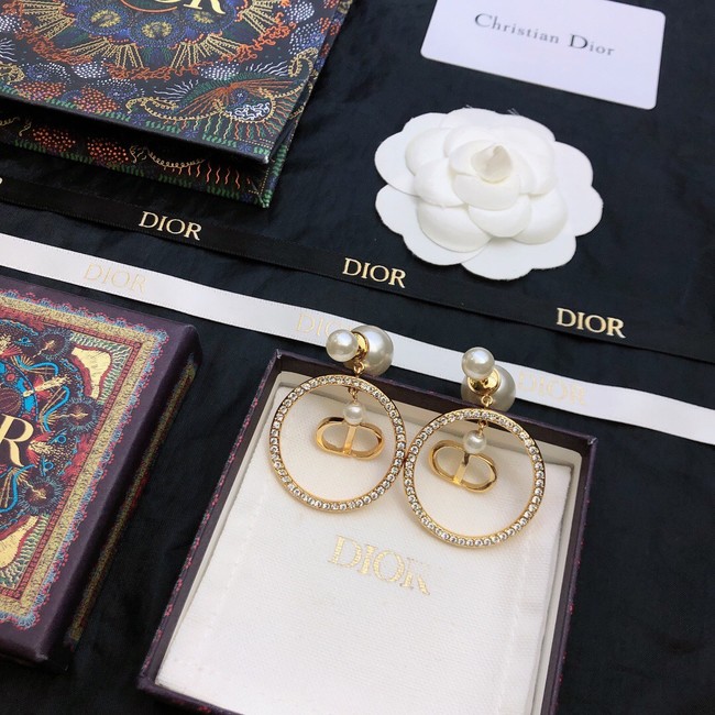 Dior Earrings CE11674