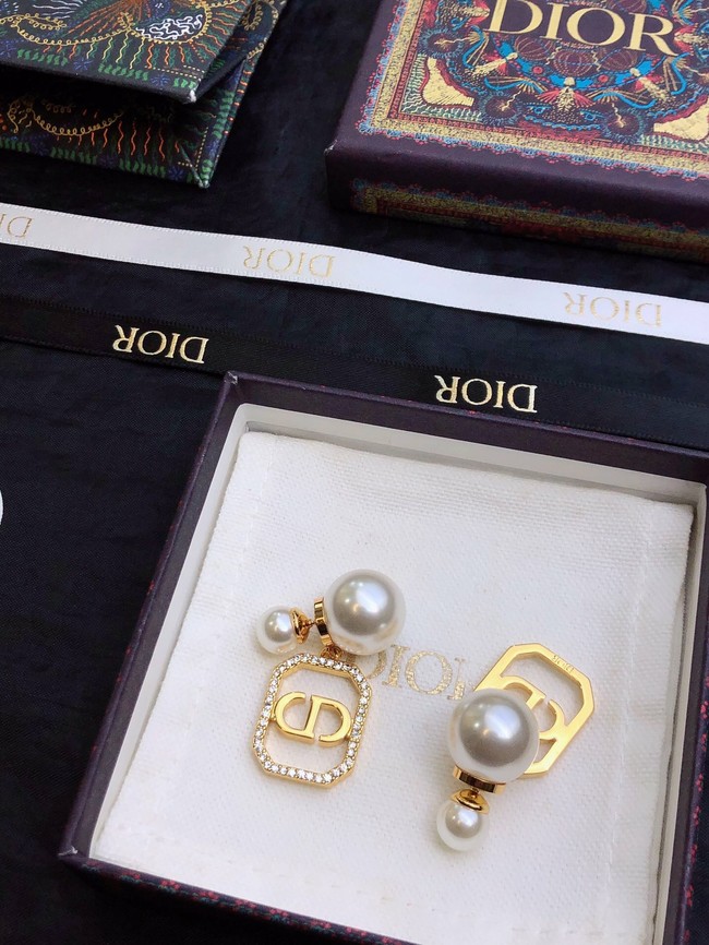 Dior Earrings CE11675