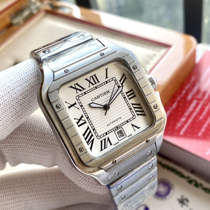 Cartier Watch CTW00360-3