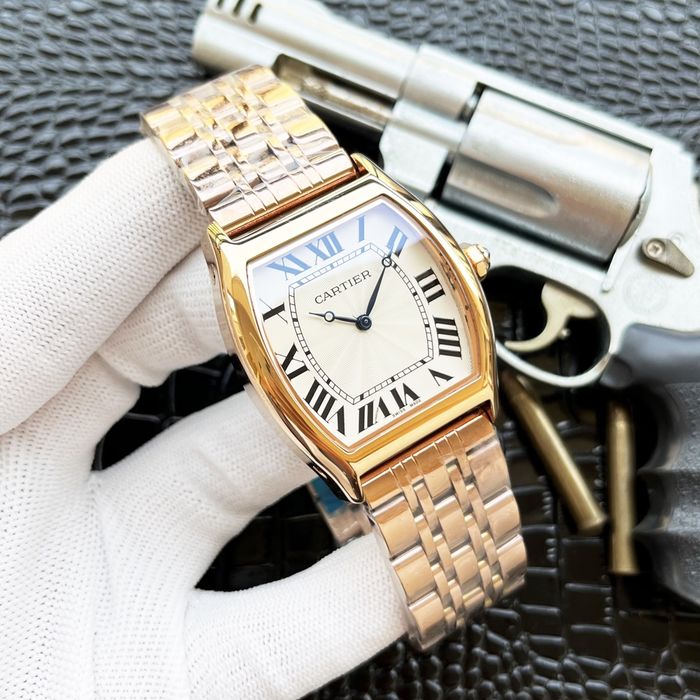 Cartier Watch CTW00415-2