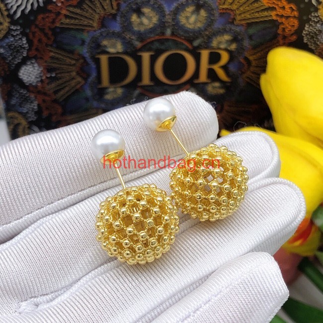 Dior Earrings CE12006