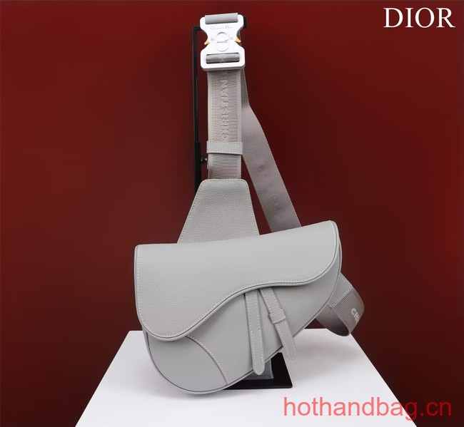 Dior Essentials SADDLE BAG Grained Calfskin 1ADPO093F GRAY