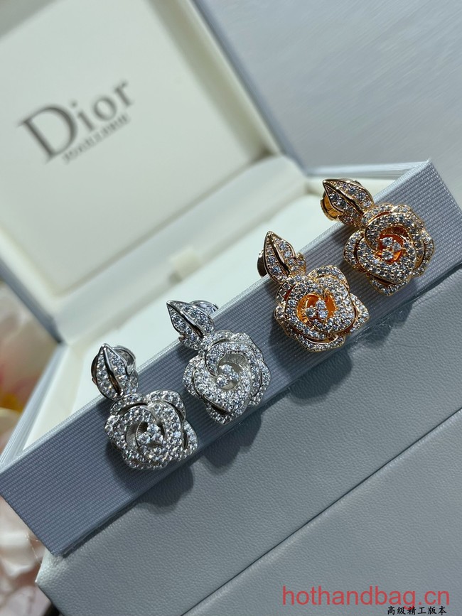 Dior Earrings CE12547