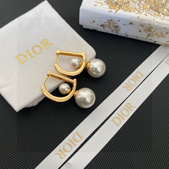 Dior Earrings CE13685